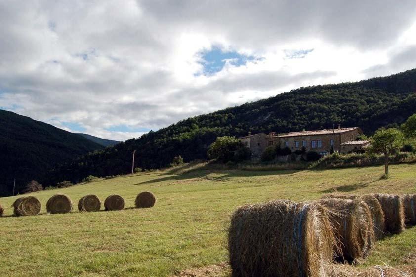 La Ferme De La Condamine Bed and Breakfast Saint-André-de-Rosans Exteriör bild