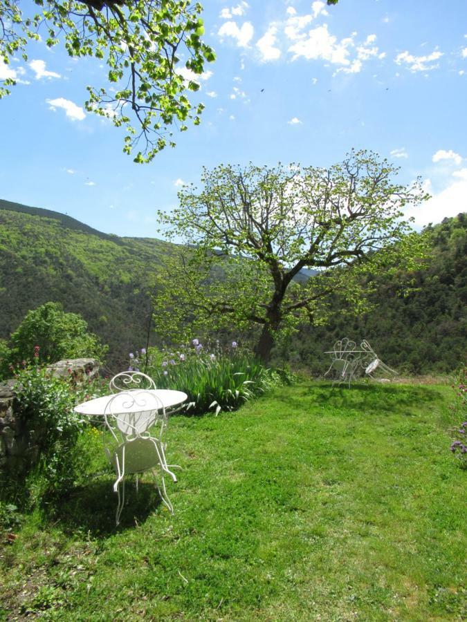 La Ferme De La Condamine Bed and Breakfast Saint-André-de-Rosans Exteriör bild